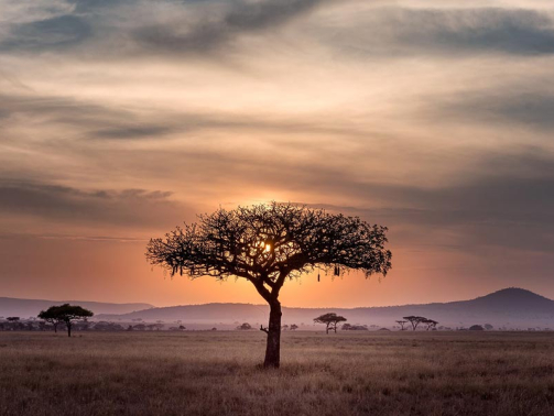 Blog-ÁFRICA